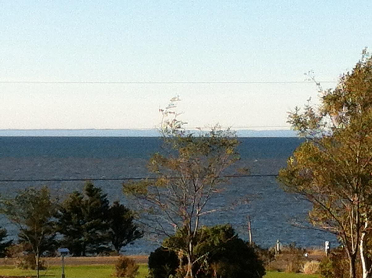 Rocky Shores & Seals Cottages Middleton Rom bilde
